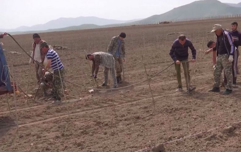 Russian peacekeepers ensure the safety of agricultural work in Nagorno-Karabakh