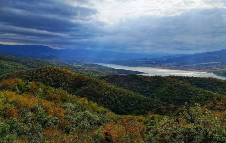 Artsakh to have 30-35 hectares of new forests