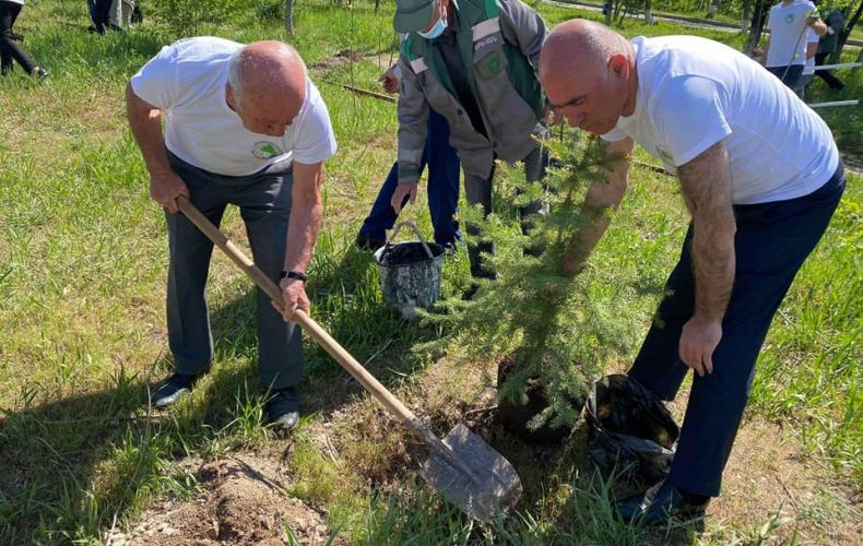 Hadrut residents organized a tree planting in Yerevan