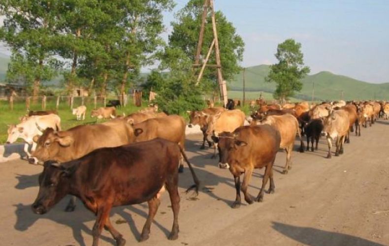 Programs are being implemented in Artsakh to develop high-value agriculture