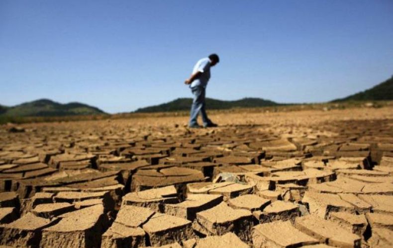 ООН сообщила, что засухи стали причиной смерти 650 тыс. человек за последние 50 лет