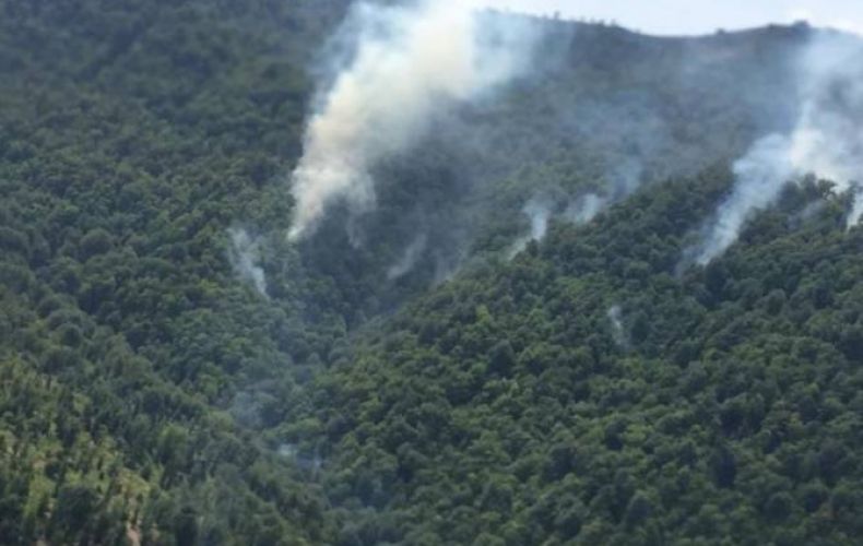 Ադրբեջանում վառվում են հարավային շրջանների անտառները