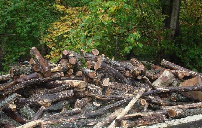 Steps taken to restore forests. The export of firewood banned. Minister
