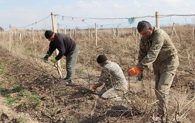 Azerbaijanis took out the residents of Khramort from the vineyards by the threat of use of weapons. Head of Community