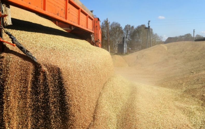 Цена на пшеницу побила на европейском рынке абсолютный рекорд