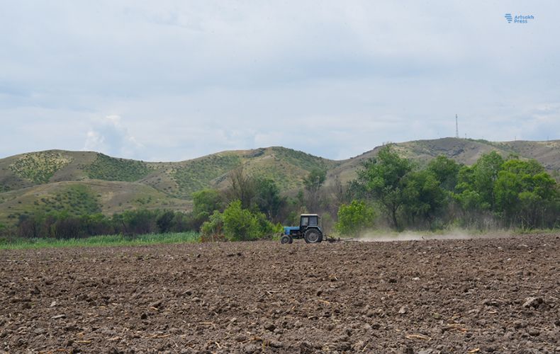 Spring sowing completed in Artsakh. Deputy Minister