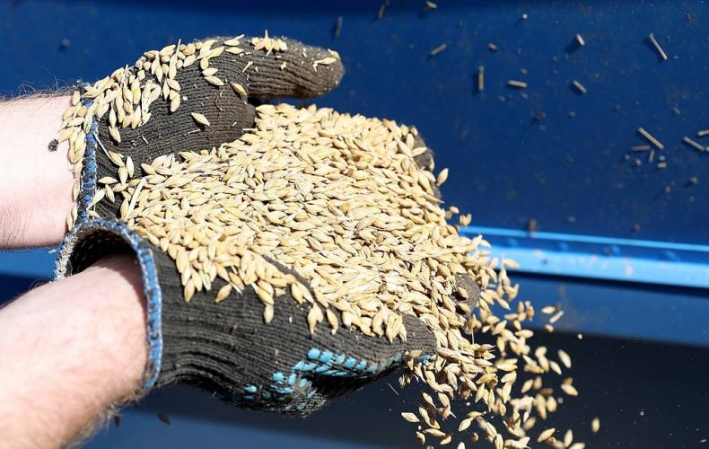 Russia can offer 25 mln tonnes of grain for export starting on August 1 — UN envoy