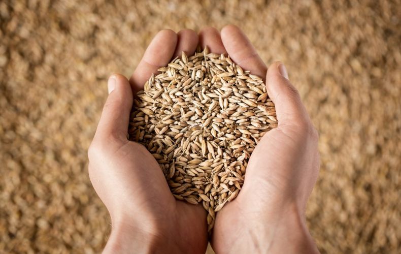 Грузия запретила экспорт пшеницы и ячменя