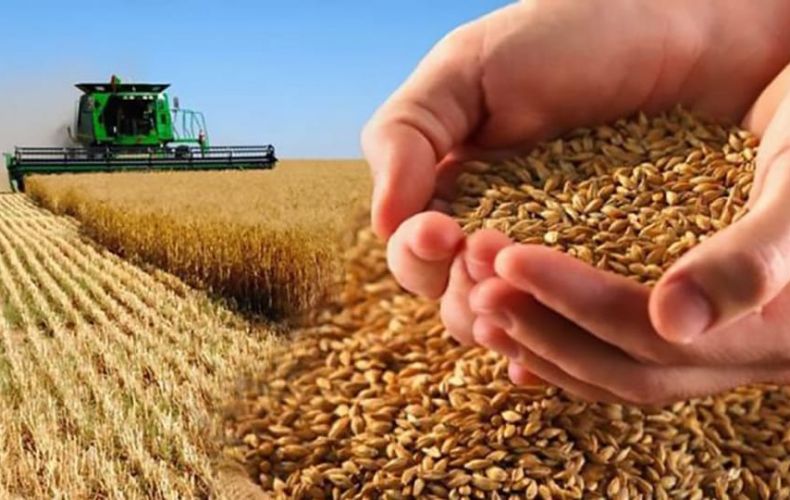 ԱՀ ԳԳԱ հիմնադրամը շարունակում է ցորենի ընդունումը՝ հորդորելով իրացման  ենթակա հացահատիկը վաճառել հիմնադրամին

