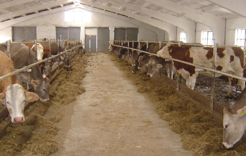 В результате блокады в секторе животноводства возникла проблема с ввозом зерновых и комбикормов