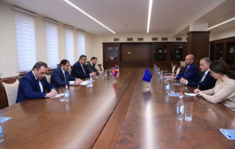 Сурен Папикян принял руководителя делегации ЕС в Армении